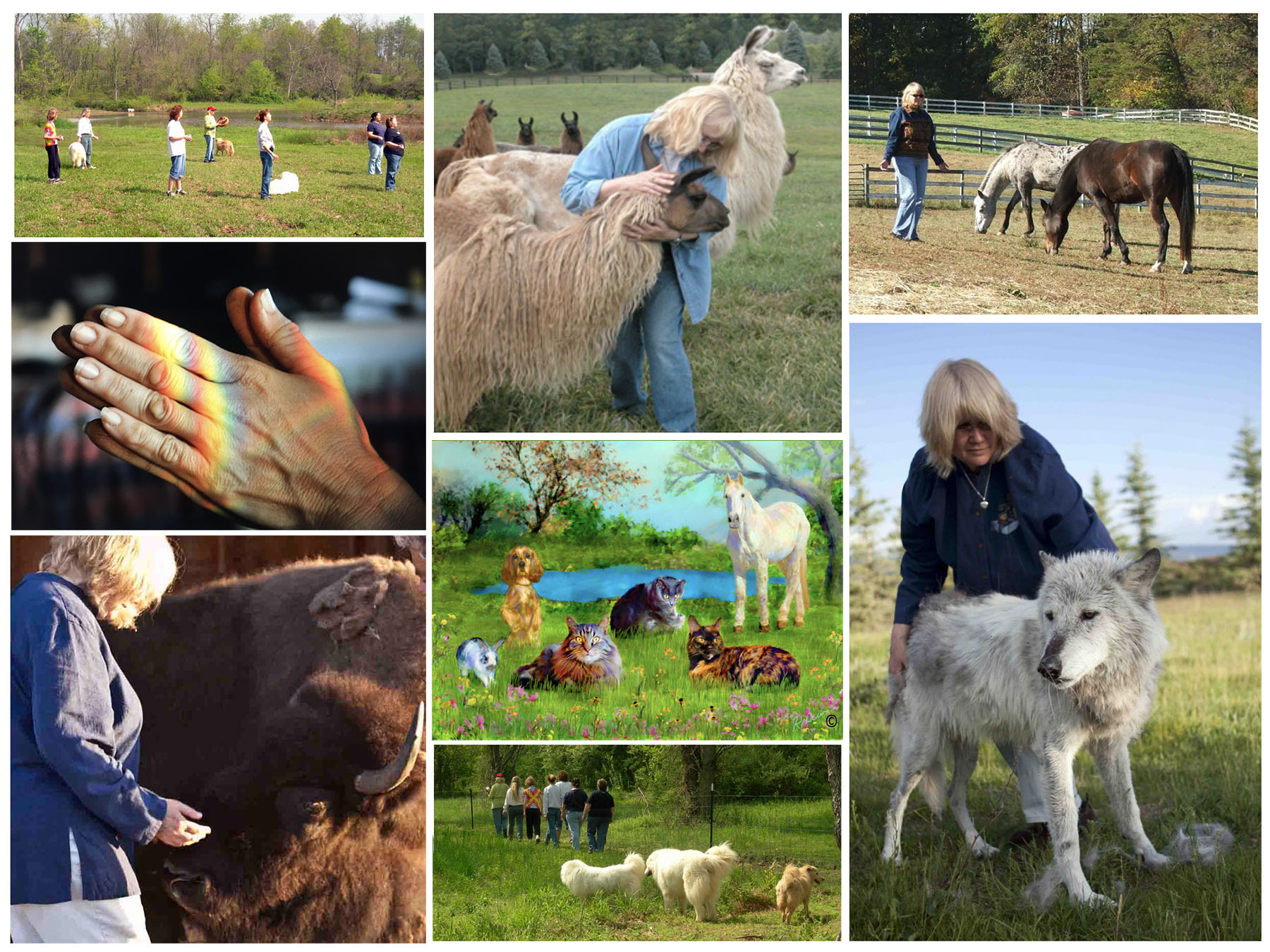 animal paradise communication healing