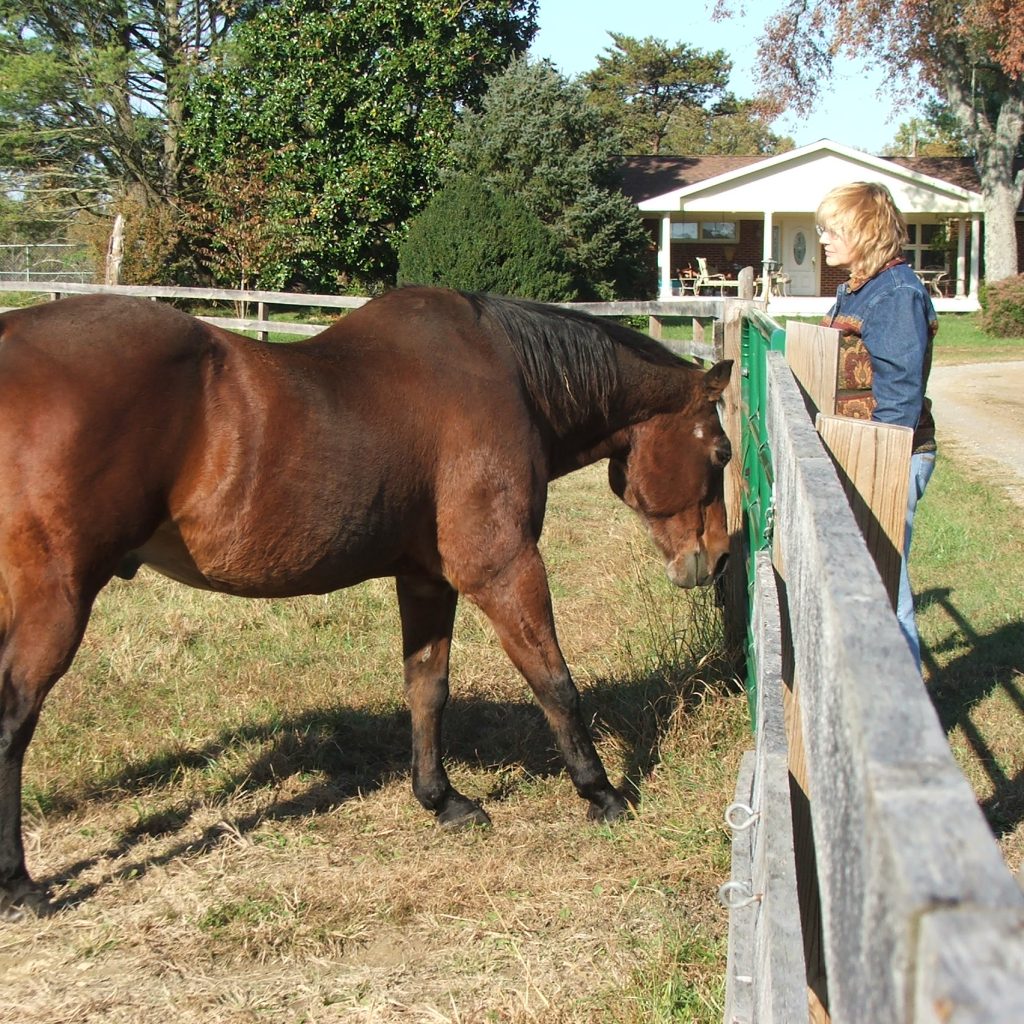 meditate-with-horses