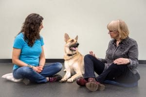 janet-dobbs-animal-communication