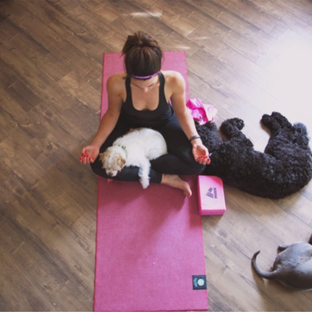 meditate-with-animals
