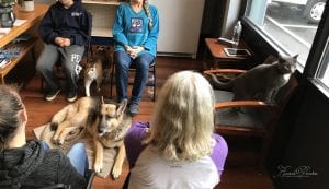 animal-reiki-class