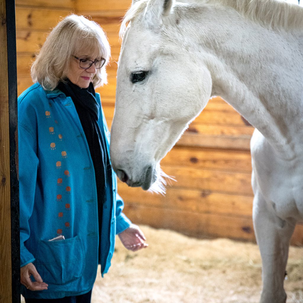 animal-meditation-with-janet-dobbs
